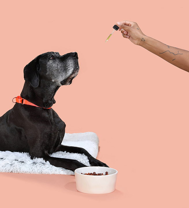 paws happy life reviews